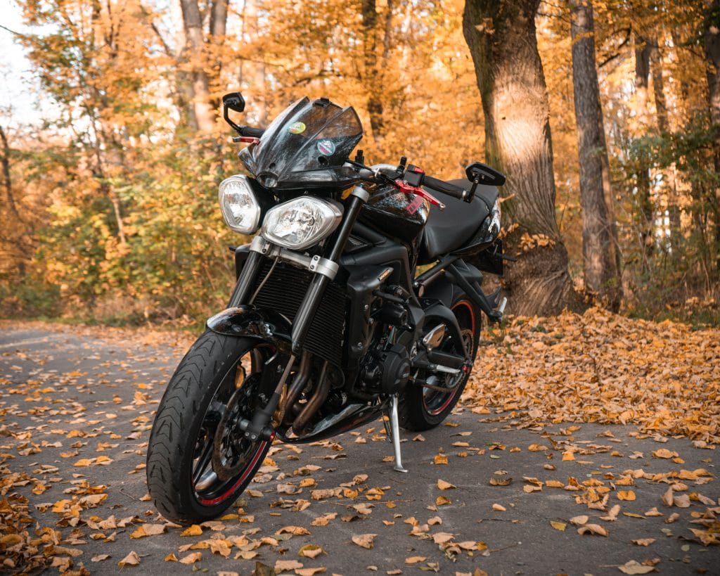 AdamMotorka_crop-3